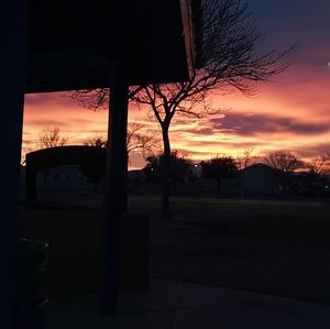 Meet your Posher, Aries